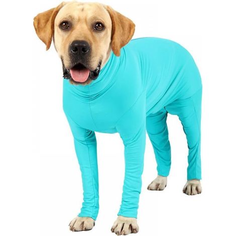 Combinaison Chien Antiparasitaire Totale Col E Apaisante Pour Animaux Recouvrement Post-chirurgical Réduction Perte Poils Unisexe