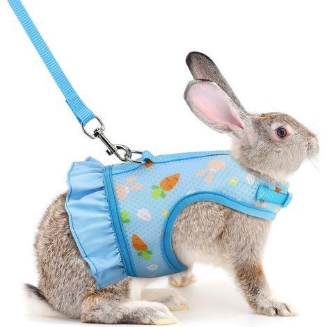 1 Harnais,Laisse,Réglable,Maille Respirante,Sécurité,Pour Lapins Et Petits Animaux (1/5)