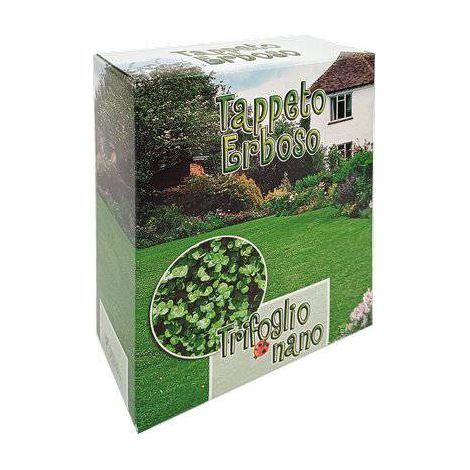 SEME PRATO TRIFOGLIO REPENS NANO
