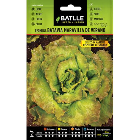 Batlle Semillas de Lechuga Maravilla de Vereno Maresme - 3 Bolsitas