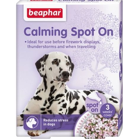 BEAPHAR LOT DE 6 PIPETTES POUR CHIEN BE13900