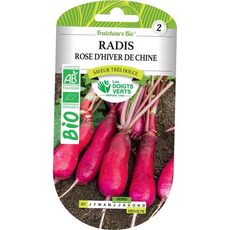 Graines radis rose d'hiver de Chine BIO Les Doigts Verts