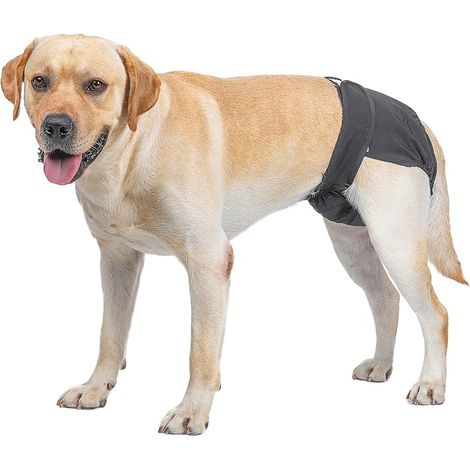 Washable Dog Diapers, Hygienic Underwear for Heated Dogs, 5 Sizes XS to XL, Suitable for All Dogs (M: 40-55 cm, Black) (1/4)