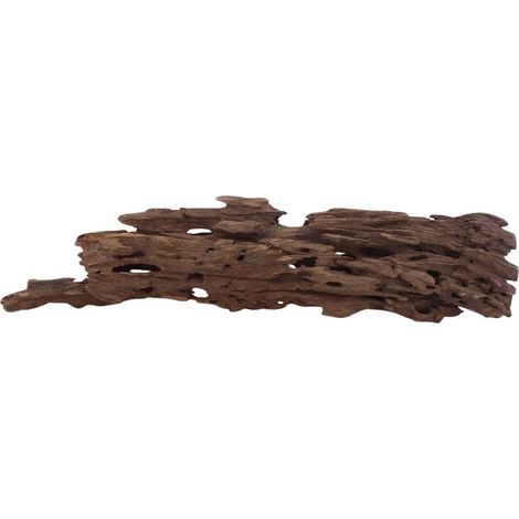 L Honey Comb Wurzel Nr.2998 Holz Deko Aquascaping