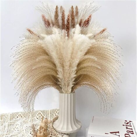 Décoration d'herbe de Pampa séchée, 90 PCS d'herbe de Pampa Contenant des Fleurs séchées de Queue de Lapin, Bouquet d'herbe de Roseau pour décoration de Table bohème de Mariage à la Maison (1/4)