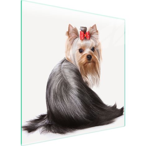 GLASSCHUTZPLATTE FÜR HERD 50x52 HUND (1/5)