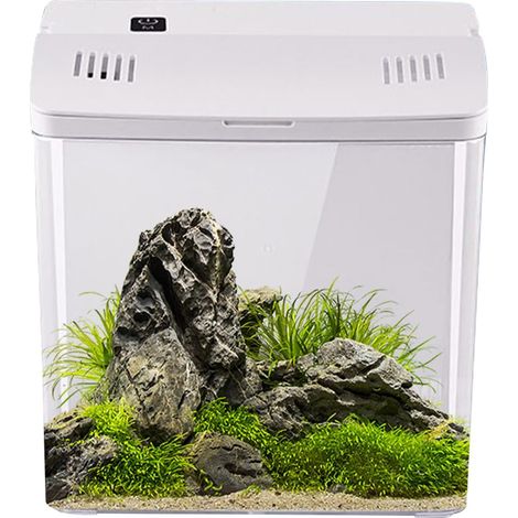 Aquarium pour Poisson Betta - Petits Aquariums pour Poisson Betta -