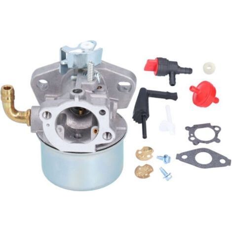 Carburateur Compatible avec Briggs & Stratton 696981 698860 694508 795069 698859 790180 790290 693865 697354 698474 791991 698810 698857 698478 694174 690046 693751 791077 591299- (1/5)