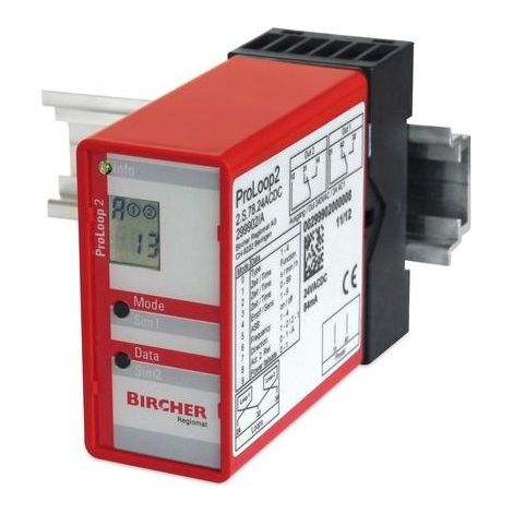 PROLOOP2S Détecteur pour boucle au sol avec socle - 1 BOUCLE - 2 RELAIS SUR SOCLE BIRCHER REGLOMAT 24V
