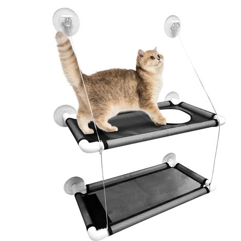 pour chat hamacs double couche sige mont pour chaton tagres (1/5)
