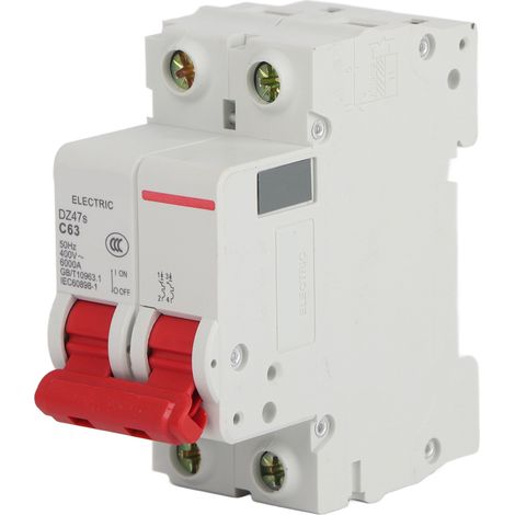 Disjoncteur Miniature 2P 400V DZ47-63 pour Rail DIN - Protection Contre les Surcharges Domestiques (1/5)
