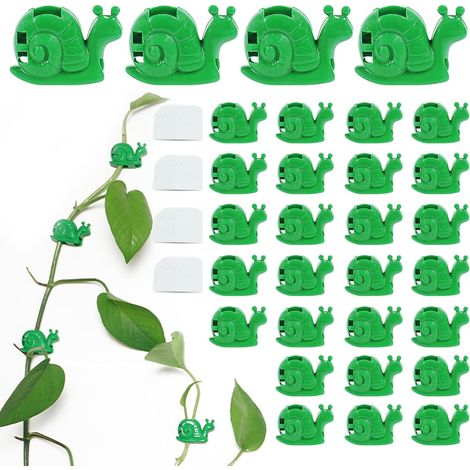 Clips pour plantes en forme d'escargot, 30 pièces, pour plantes grimpantes, fixateur mural auto-adhésif mignon, Support de vignes et de fils (1/5)