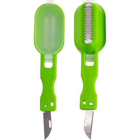 2 Pices Ecailleur A Poisson Professionnel Grattoir à Ecaille De Poisson avec Couvercle ÉPlucheur De Poisson Pratique DéTartreur Grattoir Nettoyant Outil De Cuisine Outil à éPlucher (vert) (1/5)