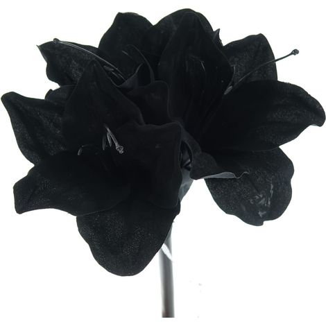 GASPER Amaryllis - Ritterstern Schwarz wie die Nacht 50 cm - Kunstblumen (1/2)