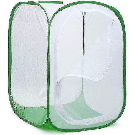 Großes, faltbares Terrarium mit einfacher Öffnung für Schmetterlinge (1/4)