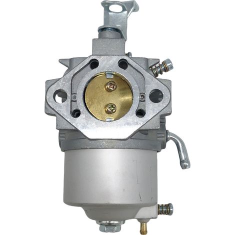 Carburateur 715668 - compatible 715121 715443 - 202-028 (1/4)