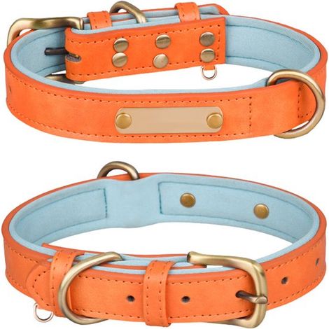 Einzelpackung Hundehalsband, strapazierfähiges, weiches Material, kontrastierendes orangefarbenes Futter, Größe XL. (1/4)