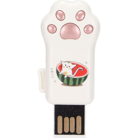 128 GB USB-Stick, Katzenpfotenform, roségoldenes Wassermelonen-Design – Datenspeicherung und -übertragung für PC und Auto