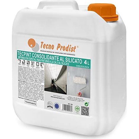 Tecno Prodist Tecpint Consolidante al Silicato - Fijador para Paredes de Piedra, Ladrillo