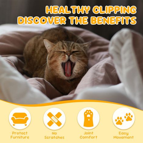 Coupe-ongles ergonomique pour chats et petits animaux - Cisaille de toilettage professionnelle en acier inoxydable (1/5)