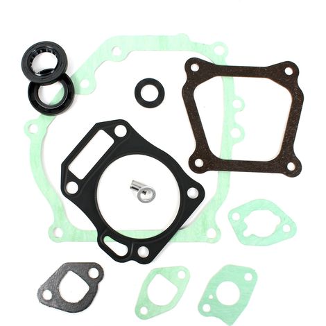 LIFAN Ersatzteil für 6,5 PS Benzinmotor Dichtungssatz, leistungsstarker 4-Takt Motor, Benzin Motor Hubraum 196 ccm E10 kompatibel