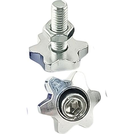Tornillos roses pour plaque de matrícula en forme d'étoile (1/5)