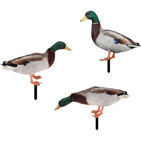 Piquets décoratifs de jardin en forme de coq, décoration extérieure, ornements de poulet - 1