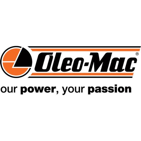 Original OLEOMAC Kettensägenölfilter 937 941C GS370 GS41 50170149R
