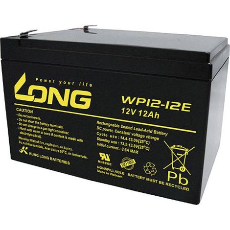 Long WP12-12E Batteria al piombo ricaricabile 12V 12Ah