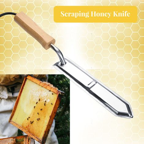 Couteau à désoperculer électrique, coupe-miel, grattoir, extracteur d'abeilles, outils apicoles, prise UE 110-240 V (1/5)