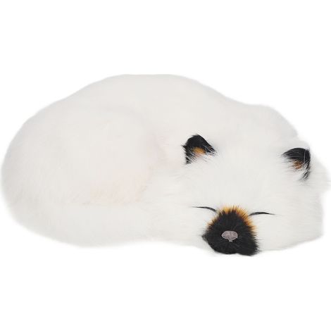 Chaton en Peluche Réaliste Dormeur Décor Doux Mignon pour Maison (1/5)