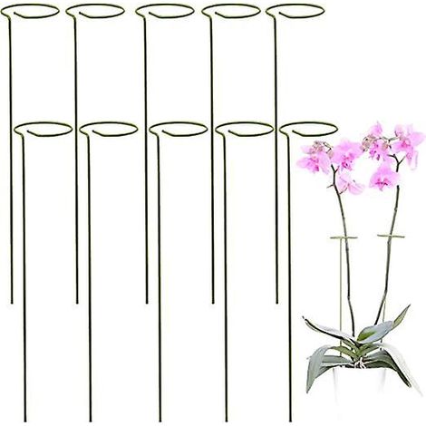 kit 10 Tuteur Plante  Supports Pour Plantes Grimpantes Et Fleurs  Tuteur Vert  Aidez Vos Fleurs  Pousser  Tuteurs Tomates Jardin  Pieux  Orch (1/5)