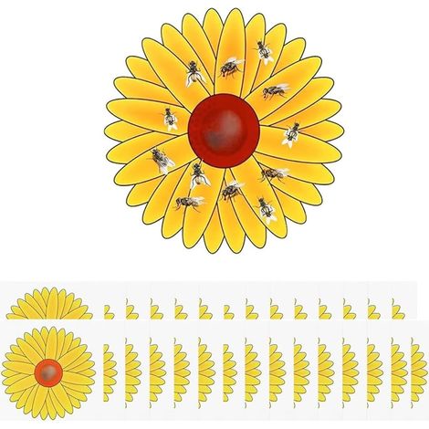 Lot de 30 pièges à mouches pour fenêtre, design floral, adhésifs, pour intérieur. (1/5)