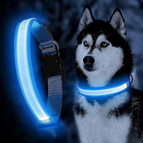 Collier lumineux pour chien - Collier lumineux réglable - Collier LED étanche - Clignotant pour une visibilité et une sécurité accrues pour votre chien - Bleu - Taille moyenne (1/5)