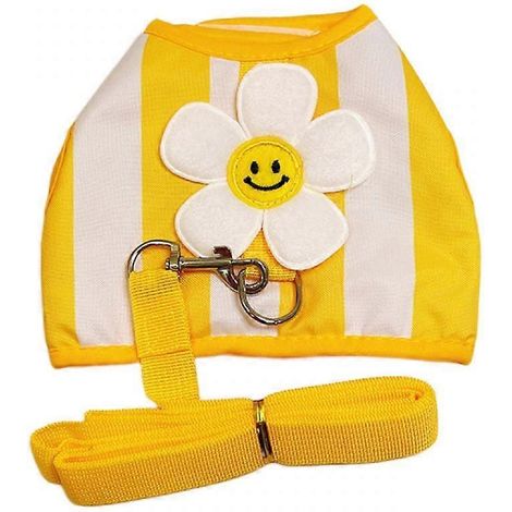 Harnais et laisse pour chat, harnais anti-fugue pour chaton, harnais gilet ajustable pour chat, harnais élégant et respirant pour animaux de compagnie. Taille M. (1/5)