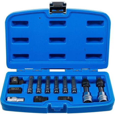 Jeu de Douilles et Embouts pour Alternateur 12,5 mm (1/2) - 13 pcs - Précision et Polyvalence - D-Work (1/5)