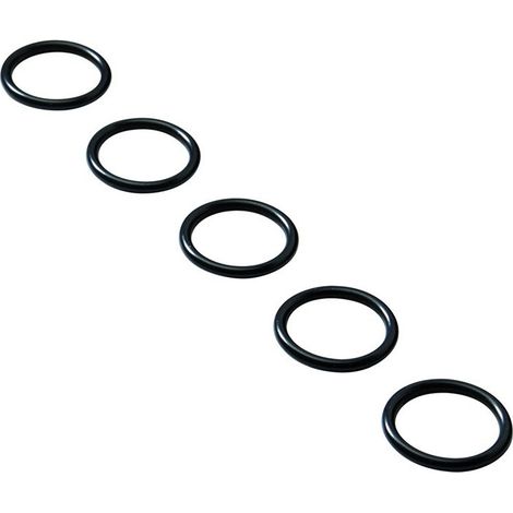 O-ring