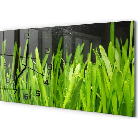 Horloge Murale XXL 60x30 cm Design Moderne en Verre Trempé Salon Salle à Manger Herbe (1/5)