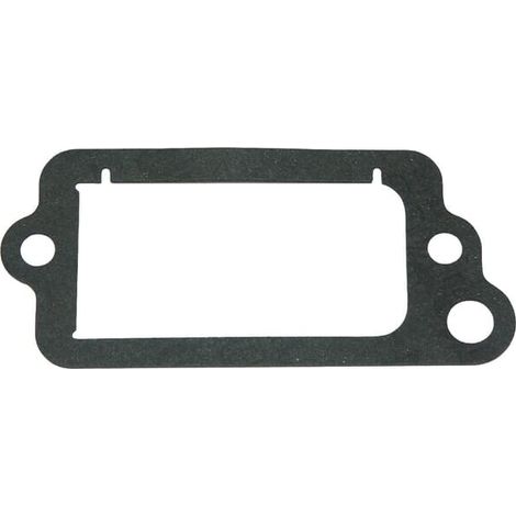 Joint BRIGGS ET STRATTON 695890