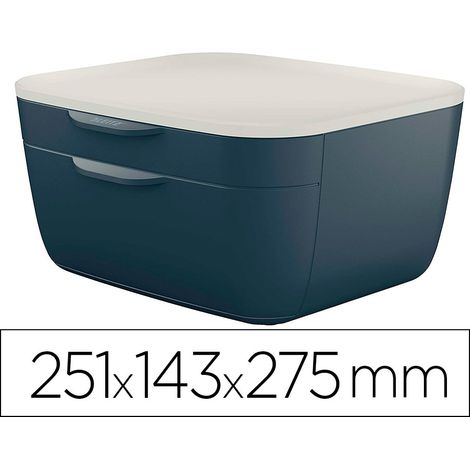 Leitz 53570089 bandeja de escritorio/organizador Poliestireno (PS) Negro, Blanco
