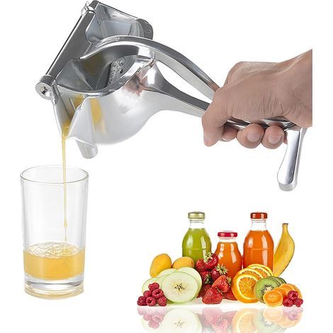 Robuste manuelle Obstpresse aus Edelstahl (1/5)