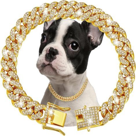 Goldenes kubanisches Gliederhalsband für Hunde und Katzen, 13 mm Diamanten, Metallkette (25 cm) (1/5)