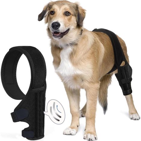 Kniebandage für Hunde – Verstellbare Unterstützung nach Kreuzband-OP – Weiches Neopren, Einheitsgröße (1/4)