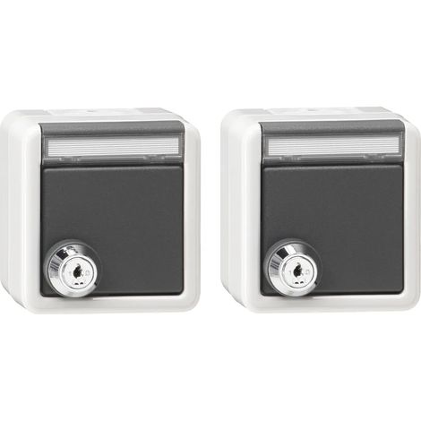 Gira Set 2x SCHUKO KD Cerradura igual + BSF WG AP Gris [456030], 4560 30