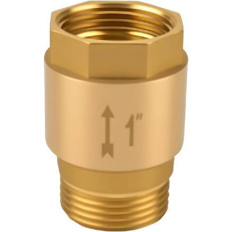 Clapet anti-retour de 1 pouce- clapet anti-retour en laiton pour eaux usées- étanche en acier inoxydable 1 pouce AG à IG- convient aux pompes à eau- pompes de jardin et machines à laver. (1/5)