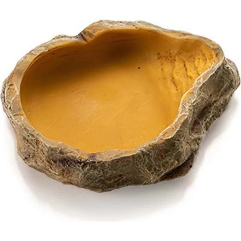 Breeding boîte eau Basin Sturdy Easy à Use Easy à Feeding Tortomultifunction Fry Breeder boîte reptile Hatchery S (1/5)