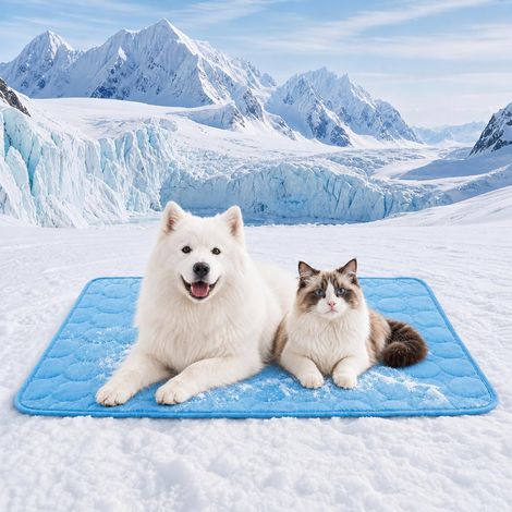 Tapis Rafraîchissant Chien Chat - Lavable Fraîcheur Animaux - Durable Anti-Morsures - Maison Extérieur - Bleu L 70x55cm (1/5)