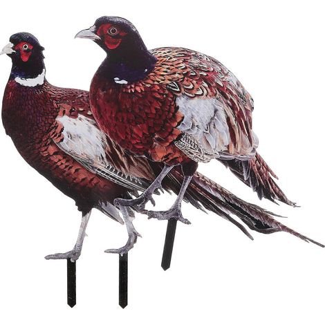 Lot de 2 piquets décoratifs en forme de faisan pour jardin, sculpture réaliste en acrylique.-34.00X26.50X0.30CM