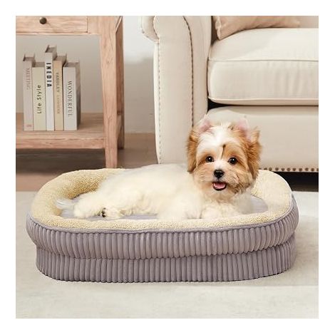Panier pour Chien,Lit orthopédique pour Chiots et Petits Chiens, canapé pour Chien en Mousse, Housse Amovible et Lavable et Fond,Gris (1/5)