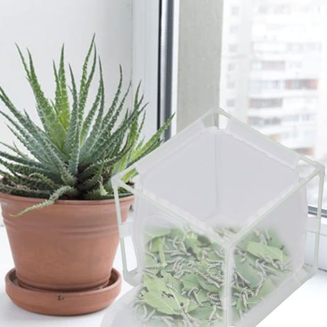 Cage d'observation des insectes en PVC blanc réutilisable, en forme de U inversé, servant d'habitat et d'incubateur pour papillons. (1/5)